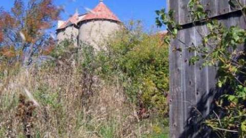 Stouffville & McCowan Farm - Stouffville-Rd-and-McCowan-Farm10.jpg