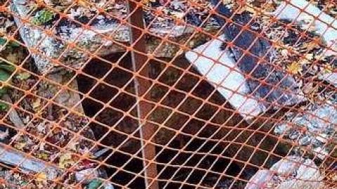 Cranley House Oct 2015 - IMG_20151025_143316565_HDR.jpg