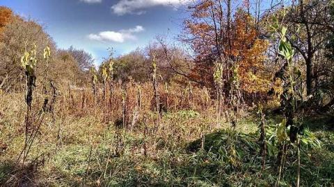 Photo from Cranley House Oct 2015