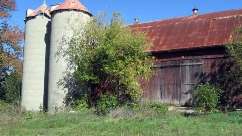 Stouffville & McCowan Farm - Stouffville-Rd-and-McCowan-Farm14.jpg