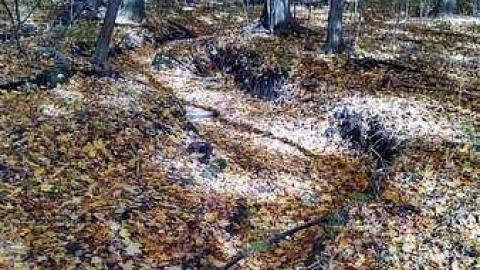 Cranley House Oct 2015 - IMG_20151025_145744204_HDR.jpg