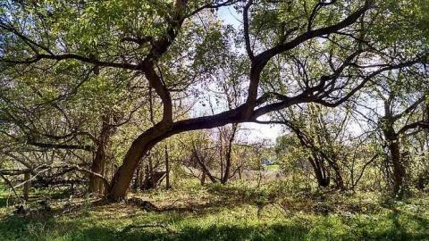 Cranley House Oct 2015 - IMG_20151025_150508468_HDR.jpg