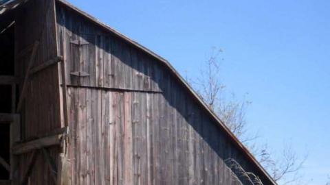 Stouffville & McCowan Farm - Stouffville-Rd-and-McCowan-Farm15.jpg