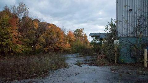 Oct 24 2017 - S-and-L-Plant15.jpg