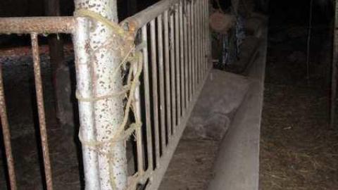 Stouffville & McCowan Farm - Stouffville-Rd-and-McCowan-Farm18.jpg