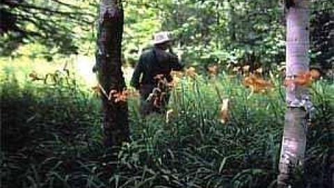Sue Lebrecht/ Tripper70's pics - Bruton-Farm-and-Fire-Tower3.jpg