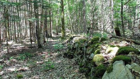 Sue Lebrecht/ Tripper70's pics - Bruton-Farm-and-Fire-Tower2.jpg