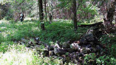 Sue Lebrecht/ Tripper70's pics - Bruton-Farm-and-Fire-Tower4.jpg