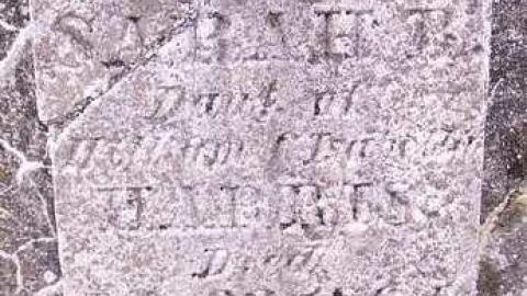 Affectionately Remembered - Morris-Pioneer-Cemetery2.jpg