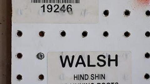 Stalles de cheval '17 - Bye-Bye-Baby-Blue131.jpg