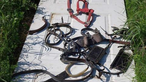 Stalles de cheval '17 - Bye-Bye-Baby-Blue146.jpg