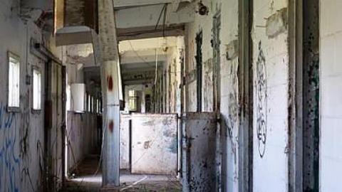 Stalles de cheval '17 - Bye-Bye-Baby-Blue125.jpg