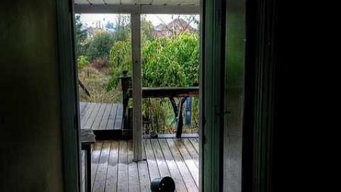 New Extreme - Brampton, Ontario