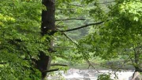 Gallery - Coopers-Falls-Ghost-Town204.jpg