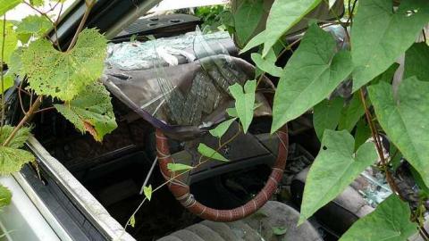 SS 16 - P1030413.jpg