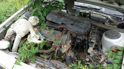 SS 16 - P1030414.jpg