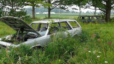 SS 16 - P1030418.jpg