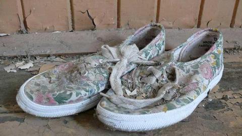 SS 16 - P1030421.jpg