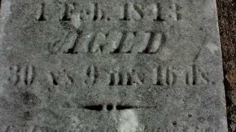 Livestock to Skatepark - Haynes-Pioneer-Cemetery12.jpg