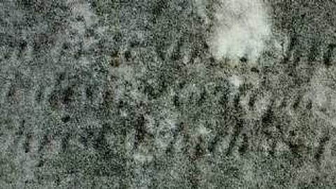 Livestock to Skatepark - Haynes-Pioneer-Cemetery19.jpg