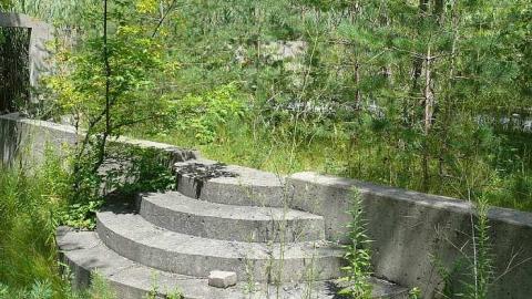 Concrete Jungle - P1030400.jpg