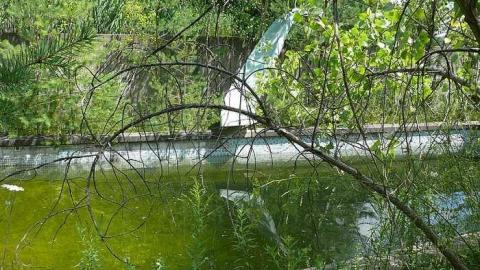 Concrete Jungle - P1030401.jpg