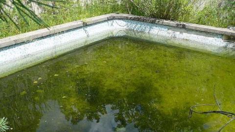 Concrete Jungle - P1030402.jpg