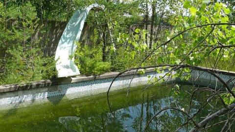 Concrete Jungle - P1030403.jpg