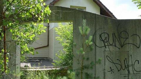 Concrete Jungle - P1030404.jpg