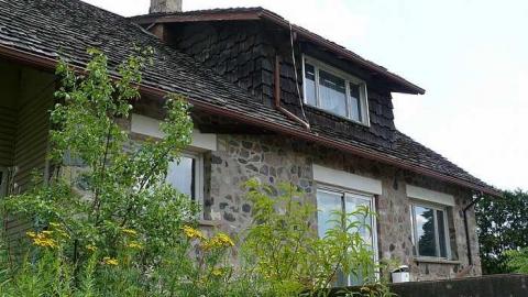 Concrete Jungle - P1030406.jpg