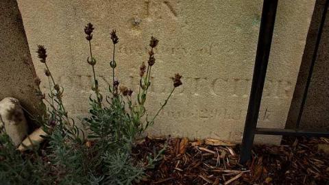 After An Illness Of A Few Days - St.-Georges--Old-St.-Cath.s30.jpg