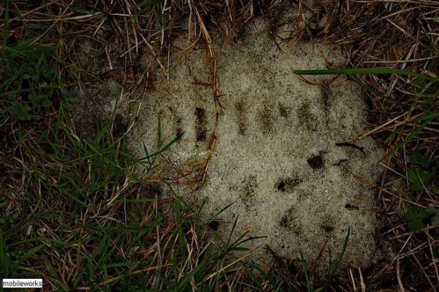 St. George's & Old St. Cath.'s photo 3