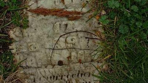 Photo from After An Illness Of A Few Days