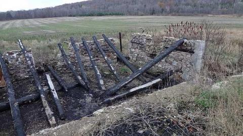 Nov. 7, 2017 - DSC01297.jpg