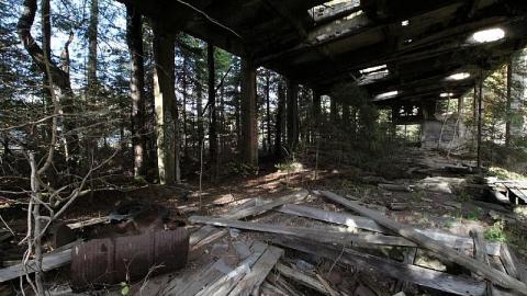 Donald Plant - October 2017 cover photo