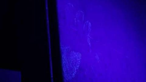 2015-2016 - IMG_2998.jpg