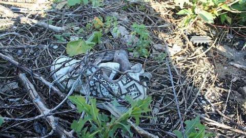 Collapsed Barn - Old-Barn105.jpg