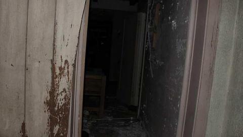 Forest House (2017) - House-In-The-Forest12.jpg