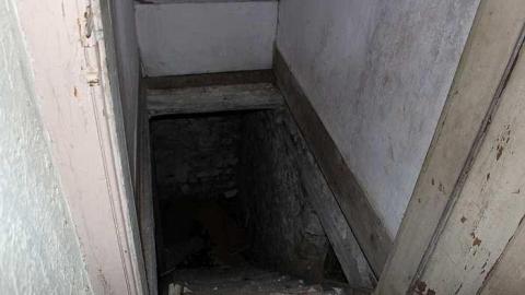 Forest House (2017) - House-In-The-Forest3.jpg