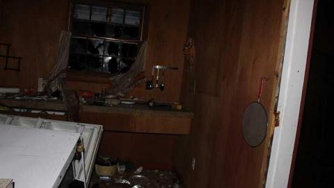 Forest House (2017) - House-In-The-Forest14.jpg