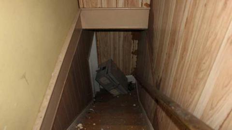 Forest House (2017) - House-In-The-Forest6.jpg