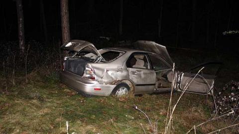 Forest House (2017) - House-In-The-Forest8.jpg