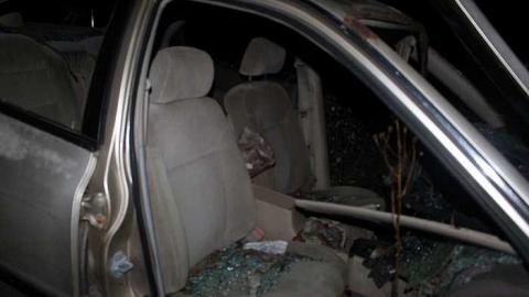 Forest House (2017) - House-In-The-Forest9.jpg