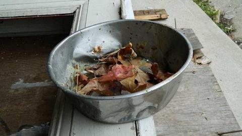 Nov 15th. - Across-The-River314.jpg