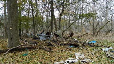 Photo from Nov 15th.