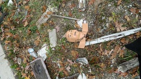 Photo from Nov 15th.