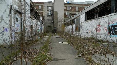 Am I Alone? - McCormicks-Biscuit-Factory967.jpg