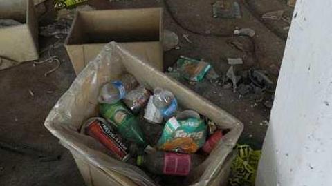 Am I Alone? - McCormicks-Biscuit-Factory960.jpg