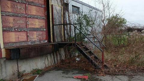 London Tom and Detroit Crispy - IMG_1684.jpg