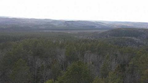 Old Fire Tower photo 4